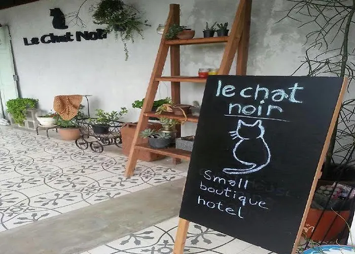 Le Chat Noir